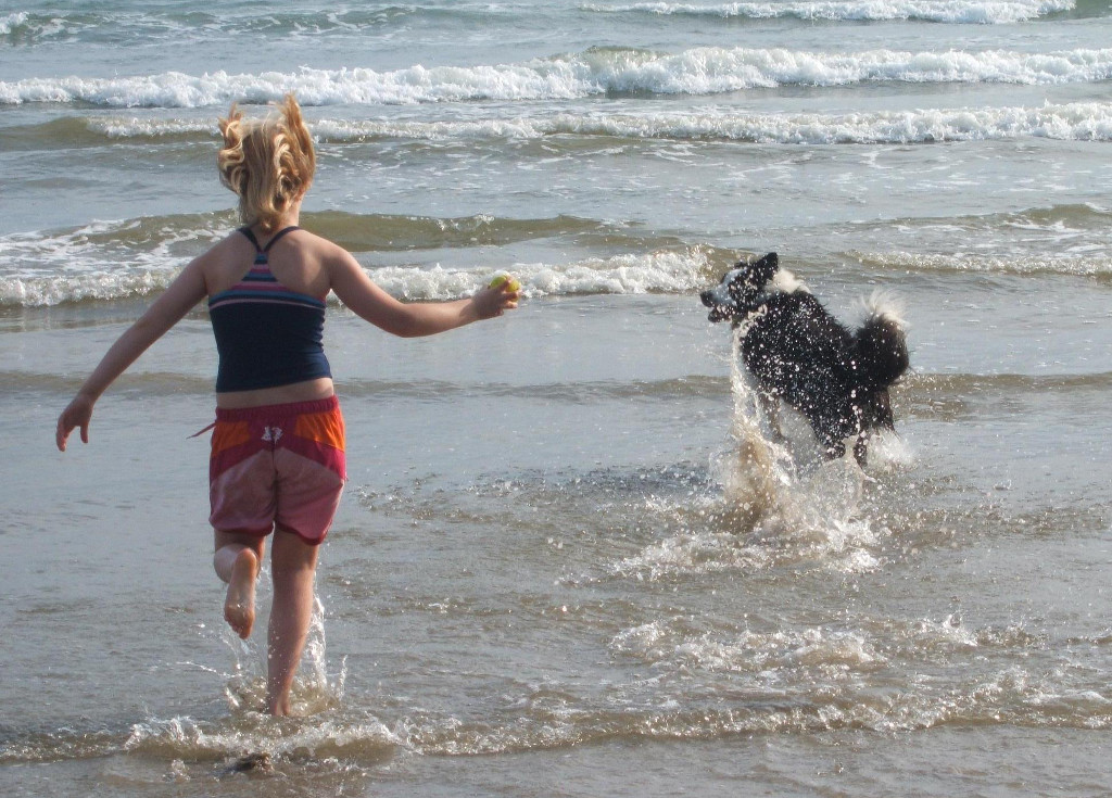 Dog Pet Friendly Holiday Cottages Criccieth Snowdonia North Wales