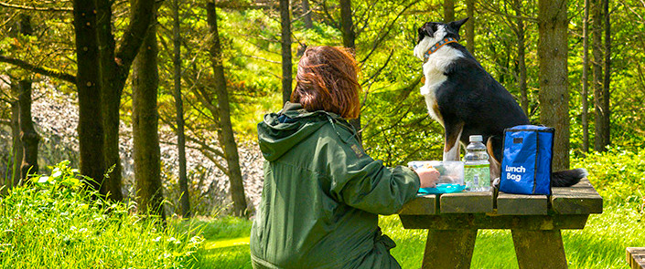 Dog Pet Friendly Holiday Cottages Criccieth Snowdonia North Wales